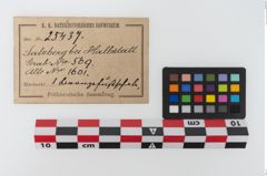 Etiketten zu Bronzebreitrandfußschale (NHMW-PRAE-025437)